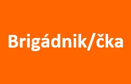 brigadnik